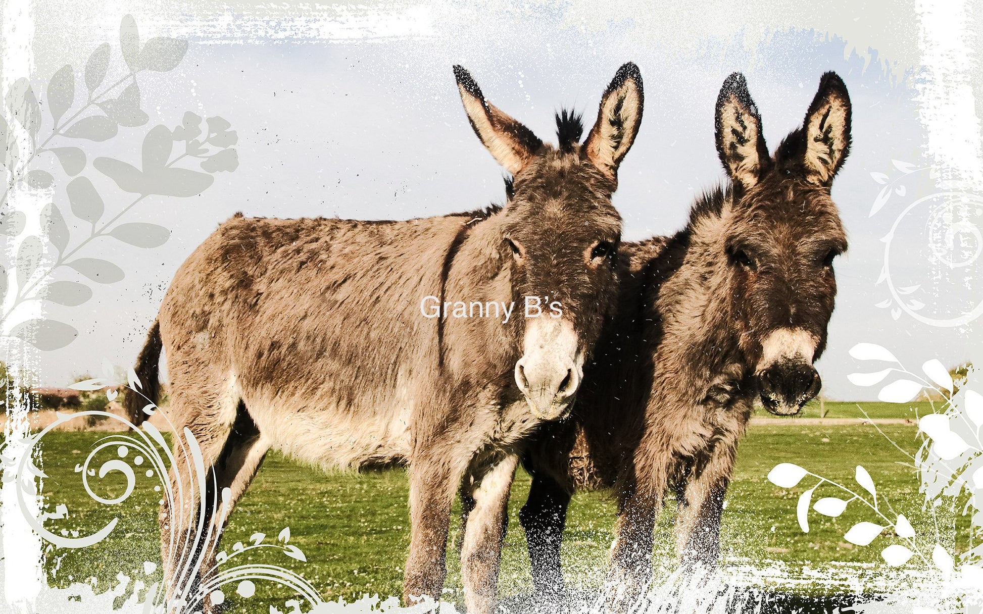 The Donkeys' by Granny Chic Decoupage Tissue - Granny B's Old Fashioned Paint